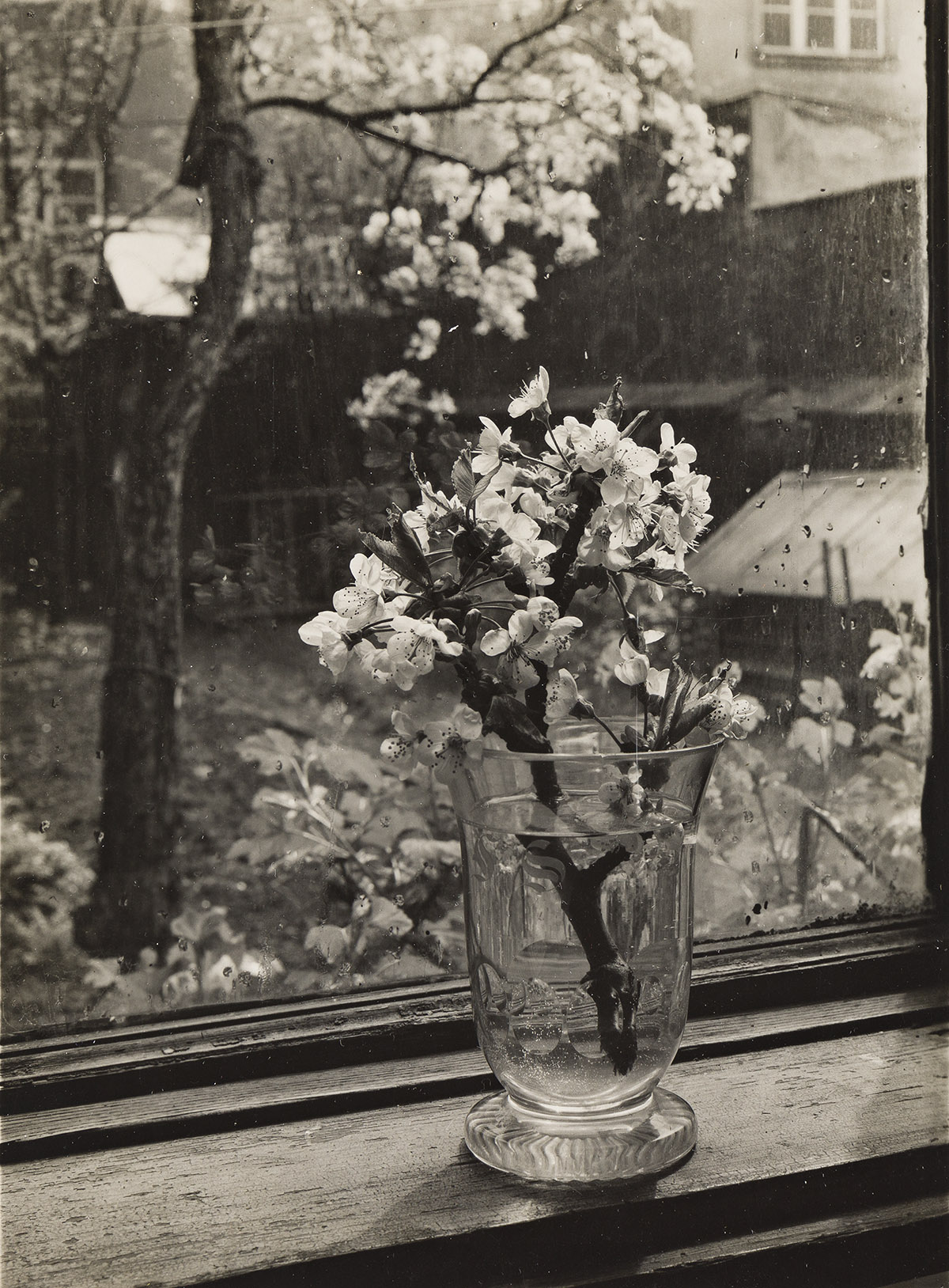 JOSEF SUDEK (1896-1976) Window in studio.
